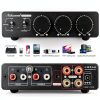 600W Hi-Fi Amplifier Douk Audio NS-13G-MAX Desktop-6