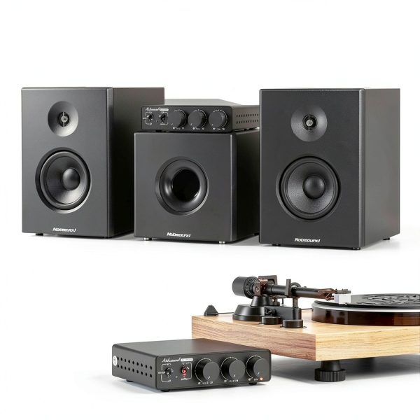 600W Hi-Fi Amplifier Douk Audio NS-13G-MAX Desktop-2